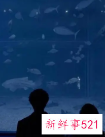 分手后偷偷关注却不联系你