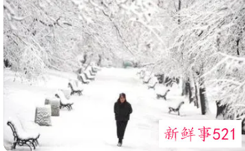 在夏天梦见冬天