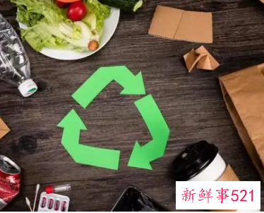 绿植枯叶属于什么垃圾