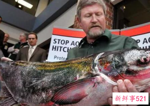 世界最臭名昭著的动物排行