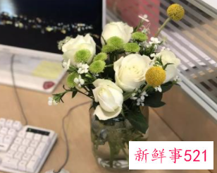 女士办公桌放什么花好