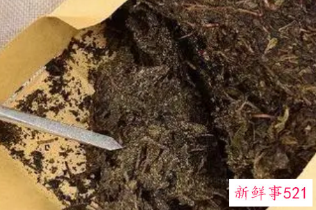 沱茶的功效与作用