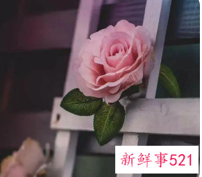 感性的女人好吗