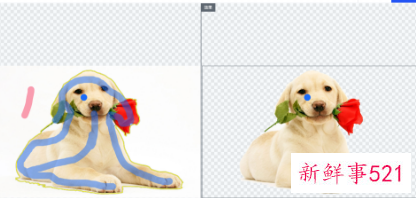 怎样改变照片的底色