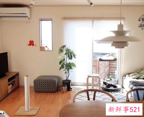 梦见家里很干净