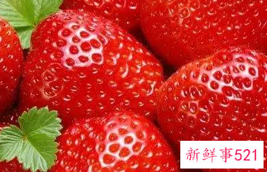 草莓的储存方法