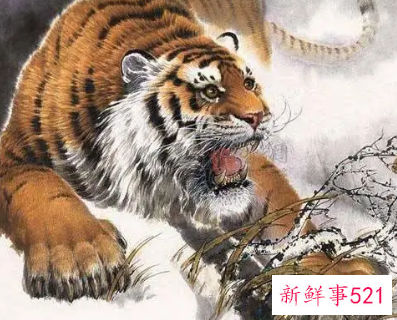 猛虎下山的寓意和象征