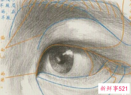 素描画眼睛的步骤图 眉毛