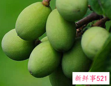 梨加橄榄的功效