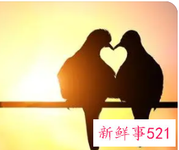 怎么回复暧昧对象的关心