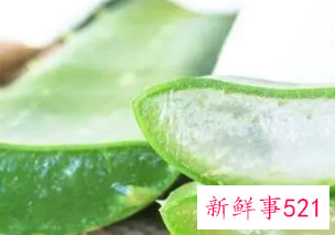 芦荟的功效与作用的正确用法