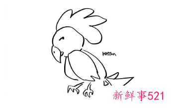 简笔画简单步骤