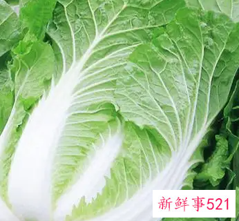 梦见白菜被偷是什么意思