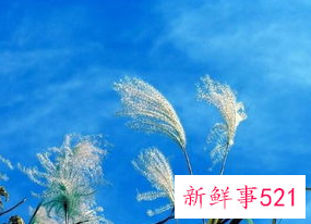 孕妇到底可以用硫磺香皂洗脸吗