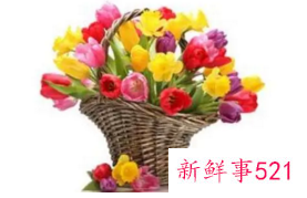 花篮的清洁方法和搭配技巧