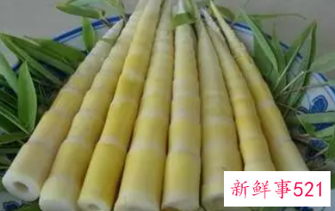 男性吃竹笋的好处