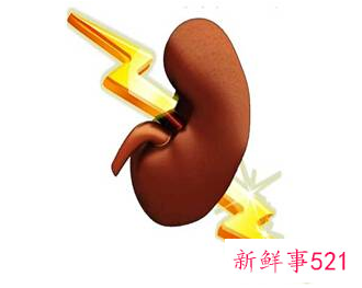 儿童高蛋白饮食的危害