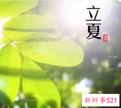 立夏节气的气候特点