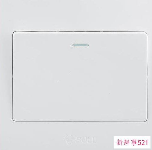 开关品牌前十名