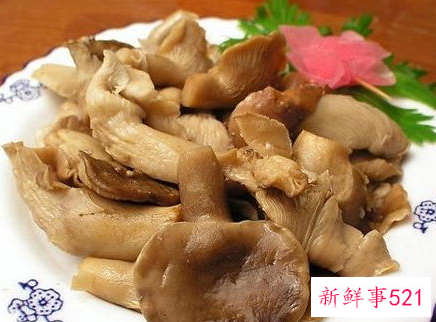 鲍鱼菇怎么做好吃