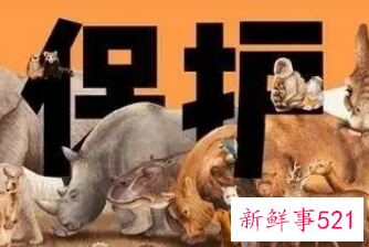 野生动物保护级别的规定