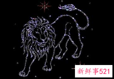 什么星座偏爱射手女