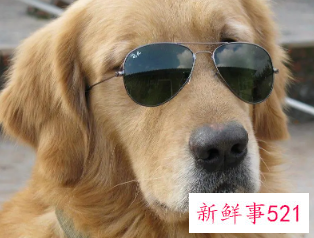 搞笑又简单的暗号