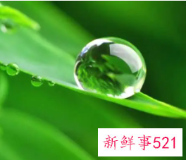 无根之水是什么