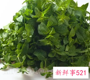 十香菜的功效与作用禁忌