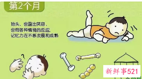 婴儿期智力发育水平对照