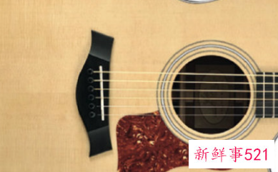 初学者买吉他要注意什么