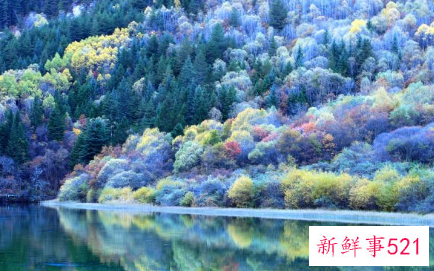 适合青少年旅游的地方