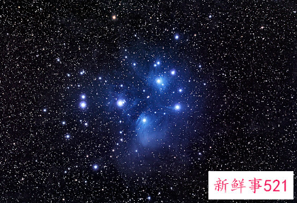 水瓶座和什么座最不配