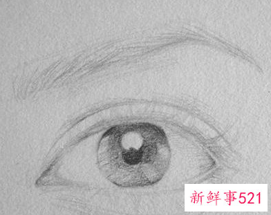 素描画眼睛的步骤图 眉毛