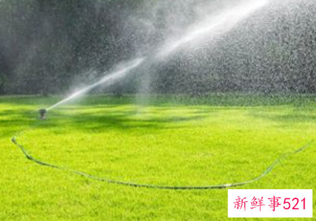 梦见灌溉浇水浇地有什么征兆