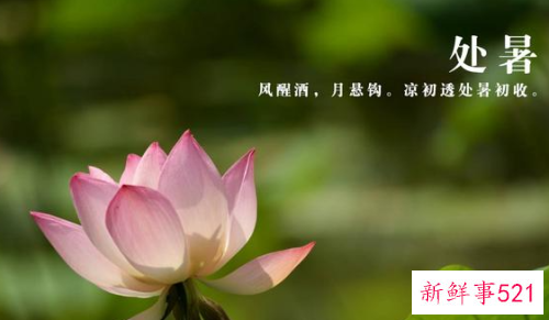 处暑诗词有哪些