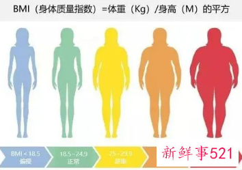BMI体重标准