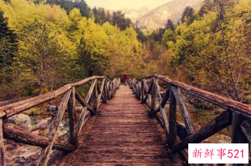 梦见独木桥是什么预兆