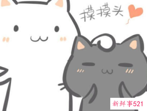 男人摸女人的头