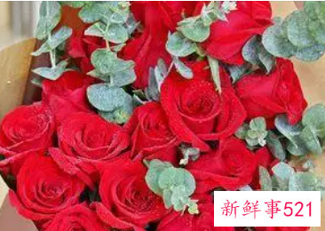 送花贺卡的情话20字