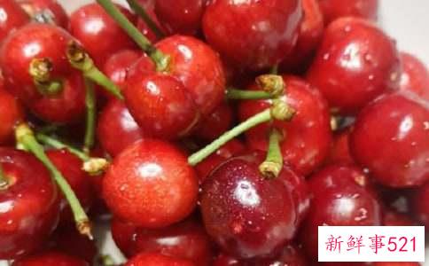 自制樱桃酒的危害和注意事项