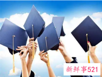 我这样输给了的大专生