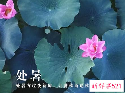 处暑诗词有哪些