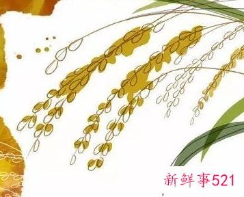 念响秋季肌肤的大补心经