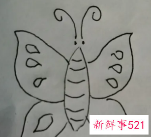 蝴蝶的翅膀花纹怎么画