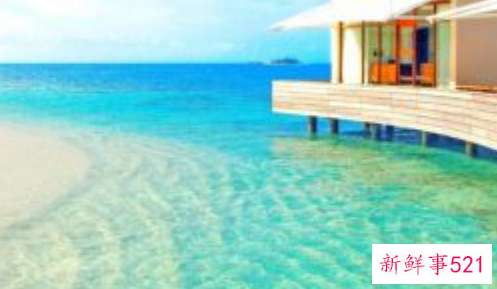 怎样才能让自己学会游泳