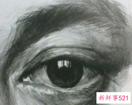 素描画眼睛的步骤图 眉毛