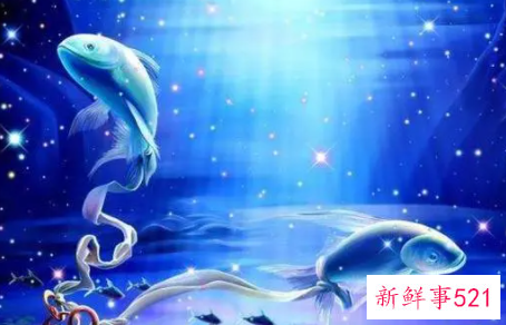 为什么双鱼座的老板多