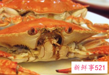 螃蟹不能和哪些食物一起吃
