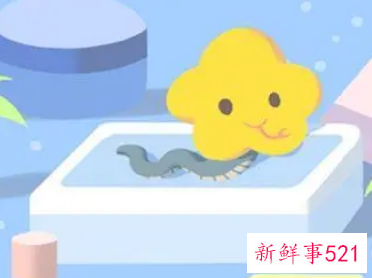 一生超爱属蛇女的生肖